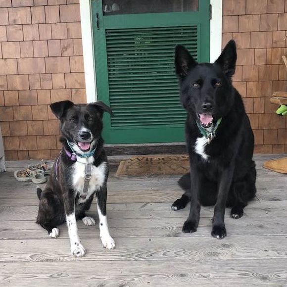 Meet your Posher, Cheryl - Picture 1 of 1